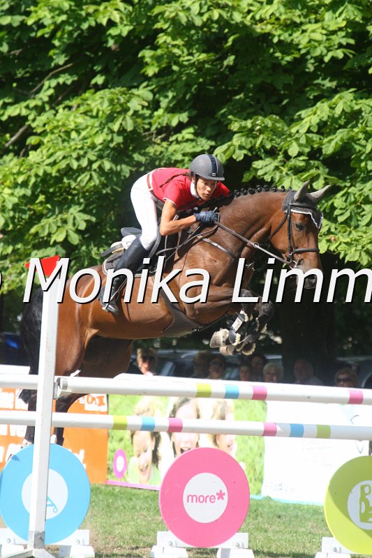 308M3800_Sally_Springpferde Mx.JPG